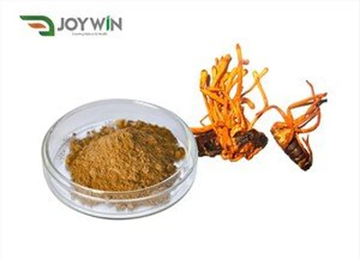 Cordyceps Militaris extrakt Cordycepin