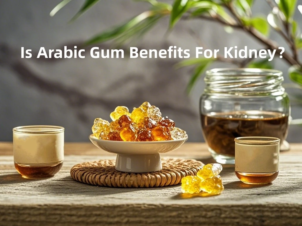Gum Acacia Powder Gum Acacia Powder